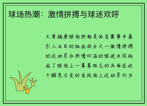球场热潮：激情拼搏与球迷欢呼