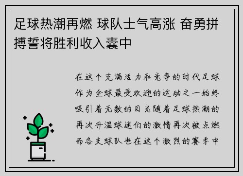 足球热潮再燃 球队士气高涨 奋勇拼搏誓将胜利收入囊中
